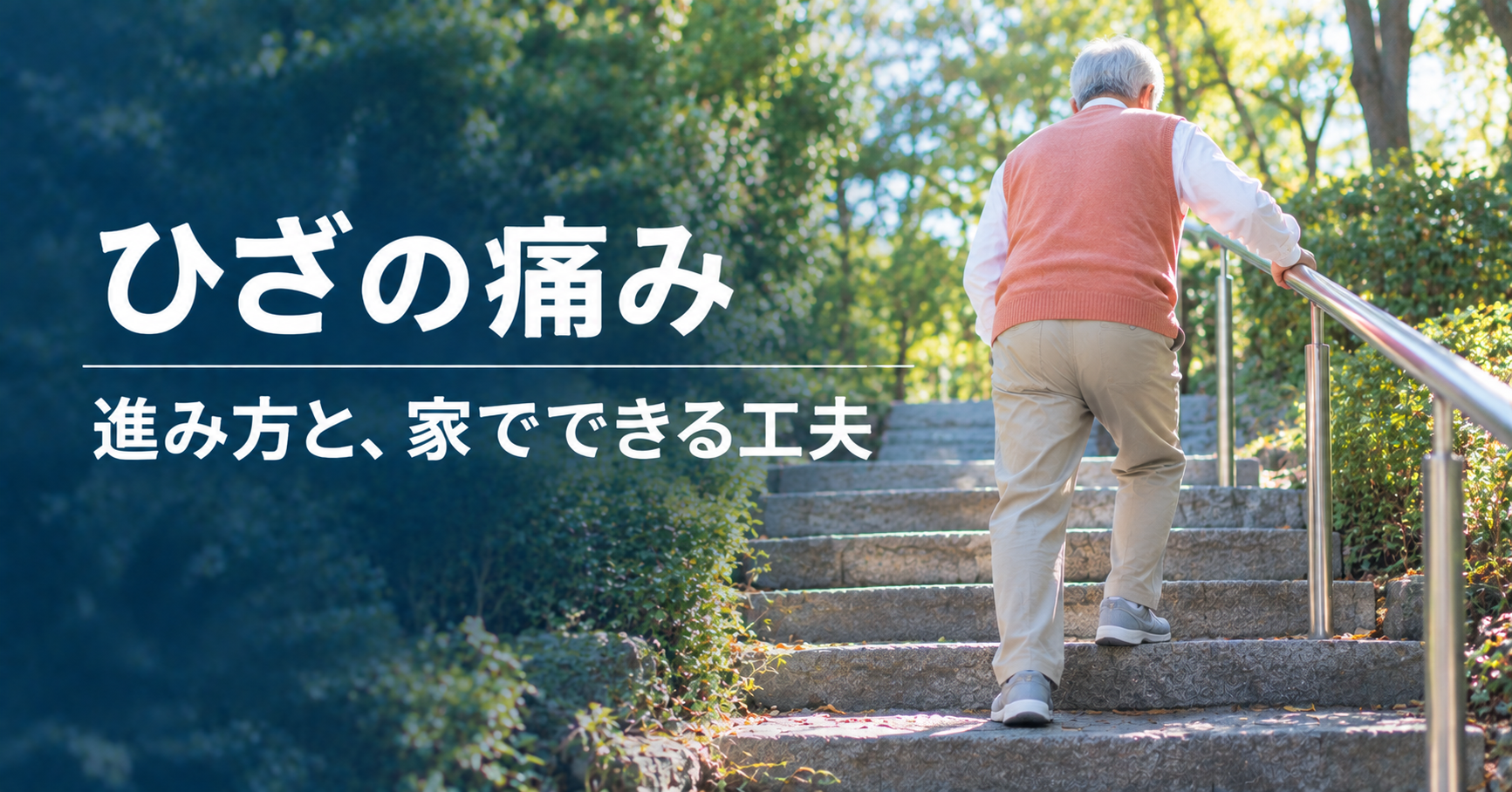 高齢の親のひざの痛み｜変形性膝関節症の進み方と、家でできる工夫・体操